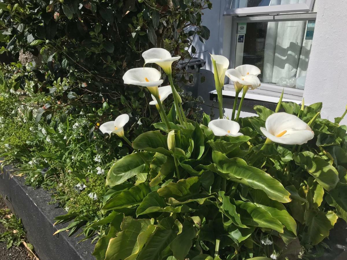 The Sherborne Lodge Ilfracombe Bagian luar foto